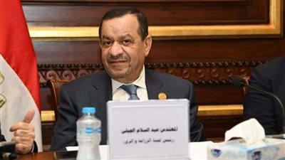 الأحد.. زراعة الشيوخ تناقش تطبيق الري الحديث