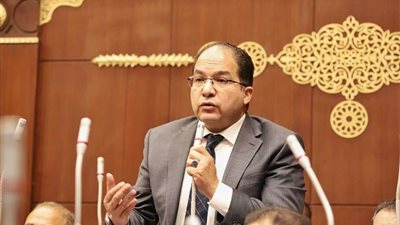 عادل اللمعي يُطالب الحكومة بإنهاء فوضى تسعير السلع بالأسواق