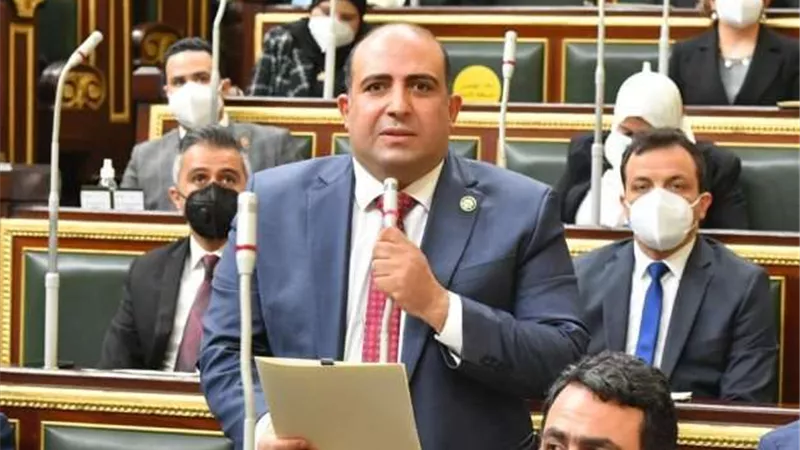 برلماني: المجتمع الدولي يحب أن يجبر إسرائيل على وقف إطلاق النار
