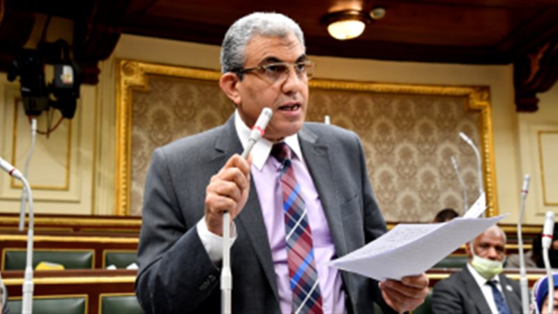 النائب عادل عبد الفضيل