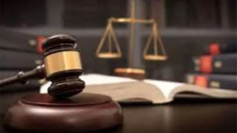 تأجيل محاكمة 9 أشخاص بتهمة القتل المتعمد واستعراض القوة بقليوب