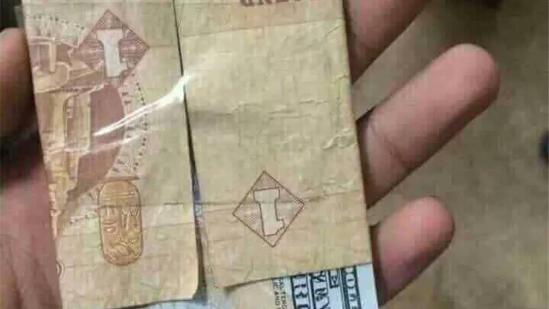 سعر الدولار اليوم الإثنين 29-1-2024 مقابل الجنيه المصري بختام التعاملات