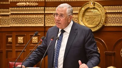 القصير: الدولة نجحت في إزالة التحديات والعقبات أمام الصادرات الزراعية