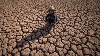 أستاذ هندسة بيئية: التغيرات المناخية تسببت في اختفاء بعض فصول السنة