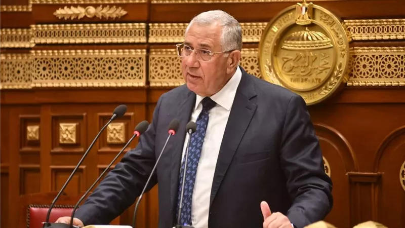 القصير: الدولة نجحت في إزالة التحديات والعقبات أمام الصادرات الزراعية