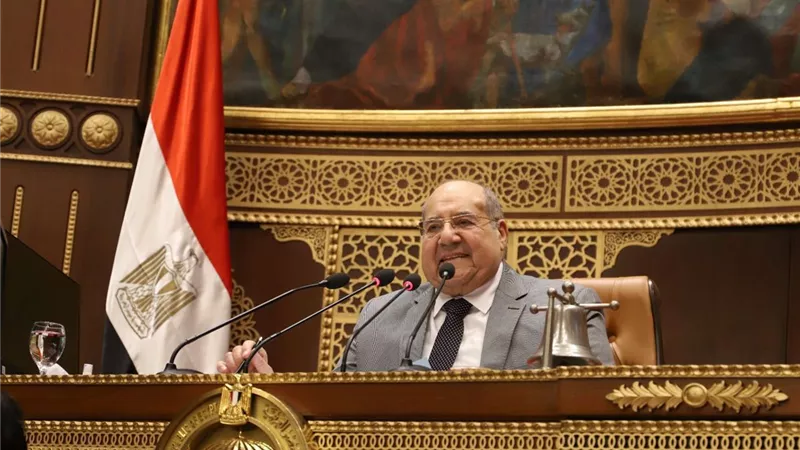 رئيس مجلس الشيوخ يفتتح الجلسة العامة