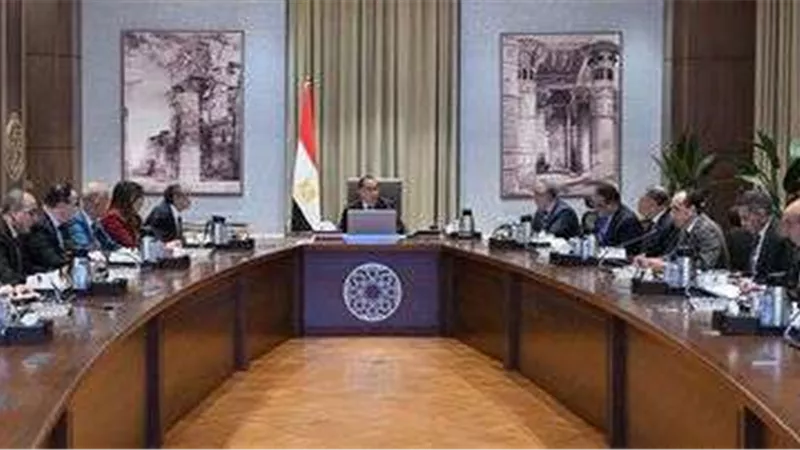 مدبولي يستعرض مبادرة إنشاء 1000 منزل ذكى مع مسئولى شنايدر إليكتريك