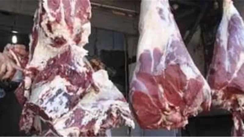 بسعر 280 جنيهًا للكيلو.. الزراعة تستمر في طرح لحوم بلدي بمنافذها