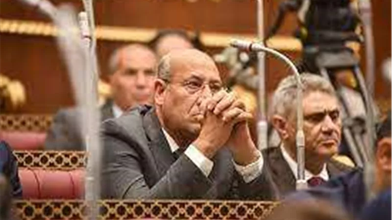برلماني: المزايدة على الموقف المصري في دعم القضية الفلسطينية أمر مرفوض