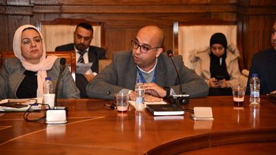خلال اجتماع محلية النواب بصحة قنا: توجيهات يومية من المحافظ بإجراءات وقائية فورية من الأمراض المتوطنة والضنك والملاريا