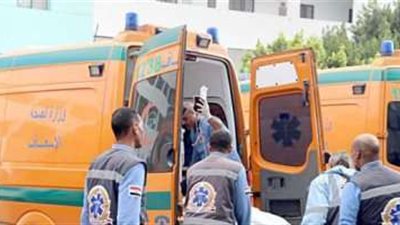 إصابة 7 اشخاص بـ«الاختناق» بسبب تسرب للكلور فى محطة مياه بالشيخ زايد