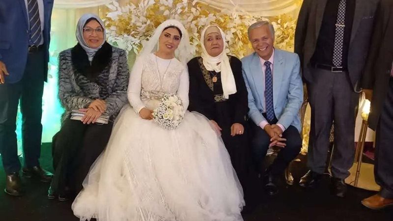 محمود عامر 