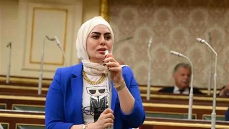 رحاب موسى: الحوار الوطني الاقتصادي يستهدف تحقيق التنمية الشاملة