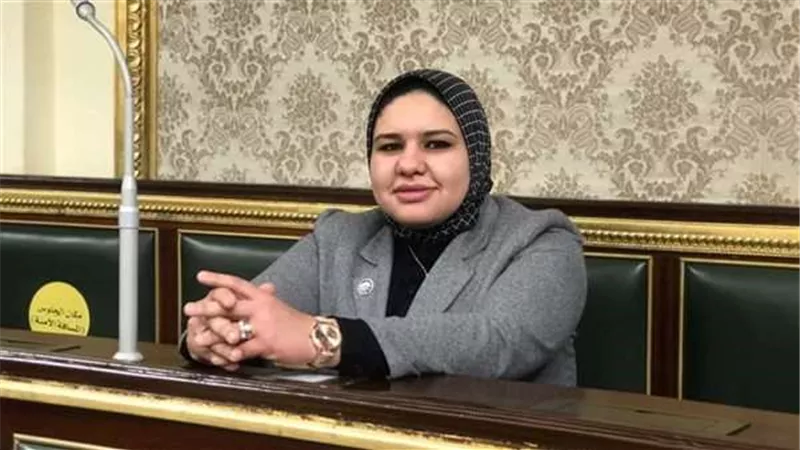 صحة النواب توجه رسالة هامة بشأن عمل الأطباء.. فيديو