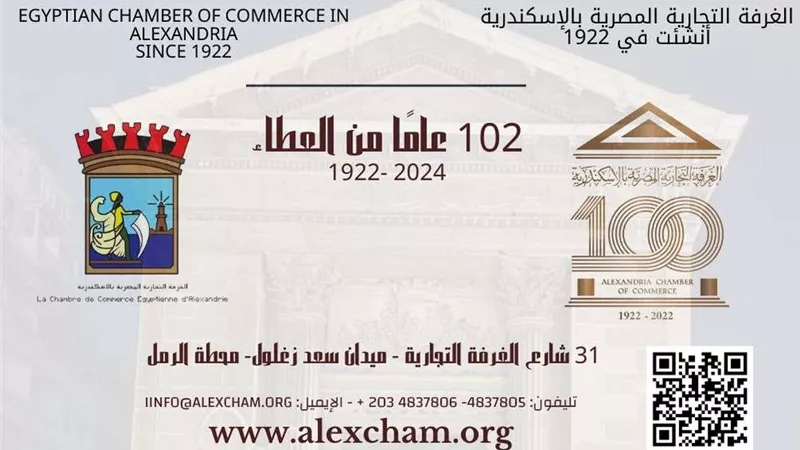 تجارية الإسكندرية تبدأ في استخراج الكارنيهات الحديثة لمنتسبيها لعام 2024