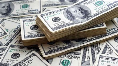 ضربات أمنية.. الداخلية تضبط 31 قضية لتجار النقد الأجنبي