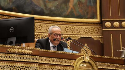 «أبو شقة» يدعو الحكومة لإنتاج يكفي لتغطية الحاجة المحلية والتصدير