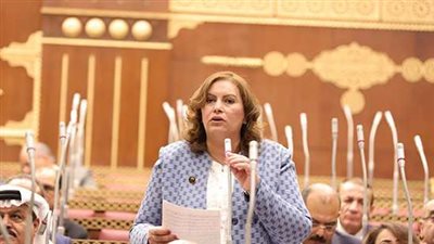 عايدة نصيف: مشاركة مصر في محكمة العدل الدولية محاولة لتحقيق العدالة ووقف الصراع