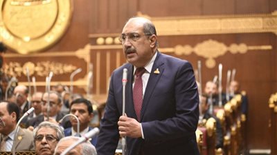 «برلمانية الشعب الجمهوري بالشيوخ» تطالب بتطوير حجز تذاكر القطارات إلكترونيا