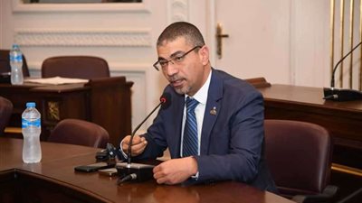 محمد البدري:  تقديم مصر مذكرة لـ «العدل الدولية» سيعزز موقف فلسطين