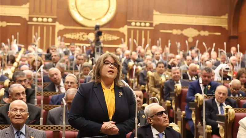 وكيل مجلس الشيوخ: البحث في قضايا الاقتصاد يقودنا إلى النهوض بالصناعة