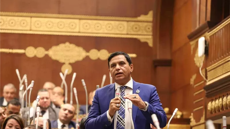 نصير: يطالب بتوفير كافة التسهيلات للمستثمر الأجنبي تشجيعا للإنتاج والتصنيع في مصر