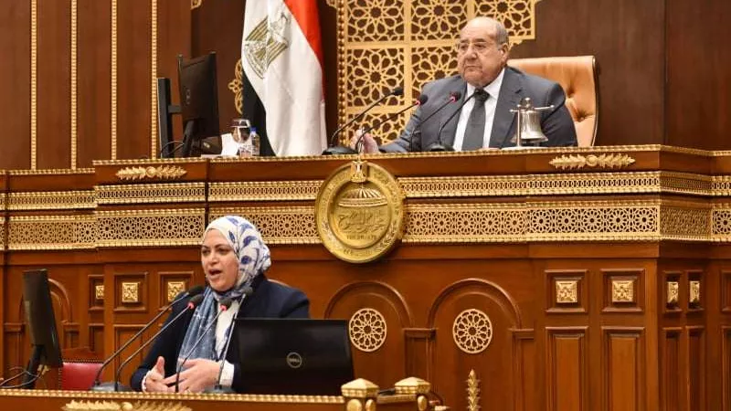 منى قطب: الوزارة نجحت في دخول القطاع الخاص في ملف النقل