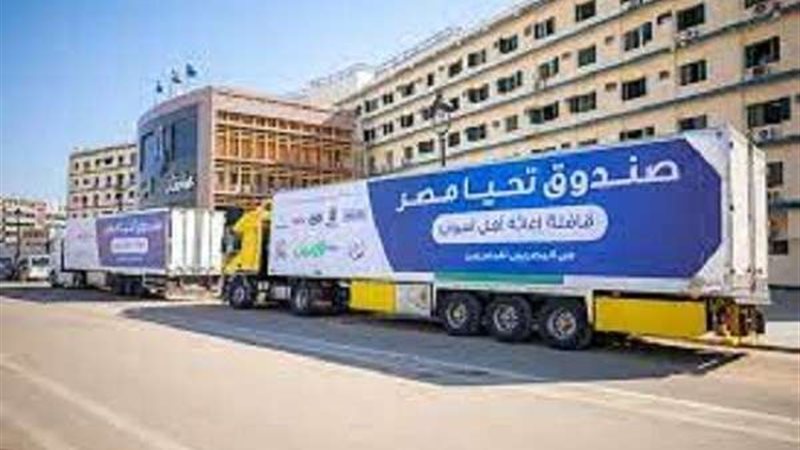 صندوق تحيا مصر 