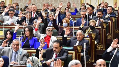 «النواب» يوافق نهائيًا على تعديلات قانون جوازات السفر