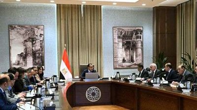 مدبولي: مجموعة تنسيقية مشتركة من الحكومة و