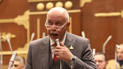 النائب حازم الجندي: مصر والرئيس السيسي قدما نموذجا إنسانيا غير مسبوق لذوي الهمم