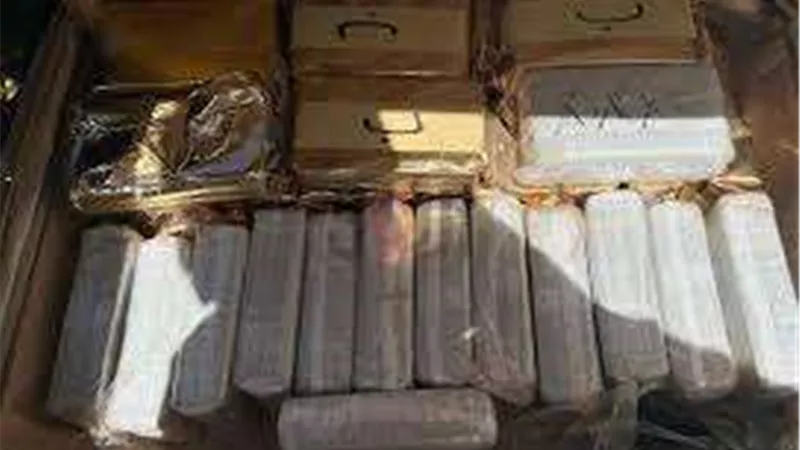إحباط محاولة ترويج 300 طربة حشيش بالمنوفية