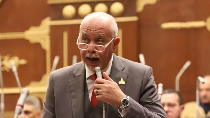 النائب حازم الجندي: مصر والرئيس السيسي قدما نموذجا إنسانيا غير مسبوق لذوي الهمم