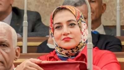 حنان عمار: توجيهات السيسي بالإفراج عن البضائع تعزز دوران عجلة الإنتاج