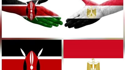 حكومة ظل 
