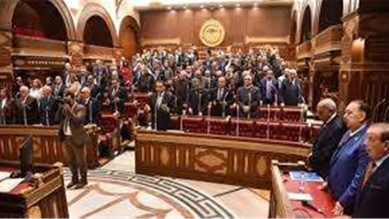 أعضاء «الشيوخ» يشيدون بمشروع الضمان الاجتماعي والدعم النقدي