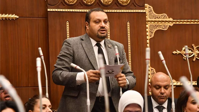 أحمد القناوى 