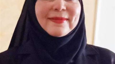أستاذ اقتصاد: الدولة وضعت منهجية فى التعامل مع التدفقات الاستثمارية