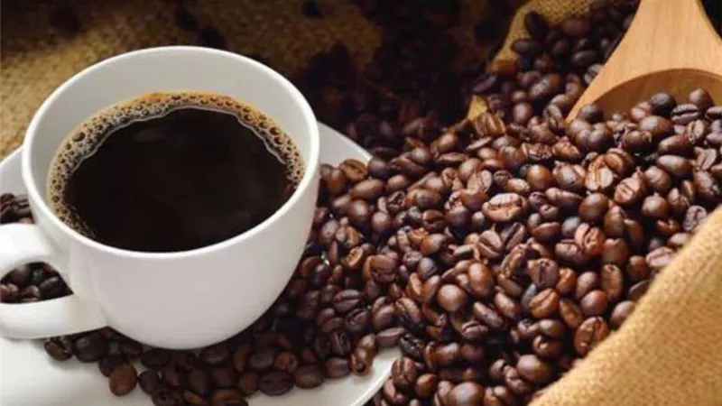 رئيس شعبة البن يعلن انخفاض سعر البن 15٪