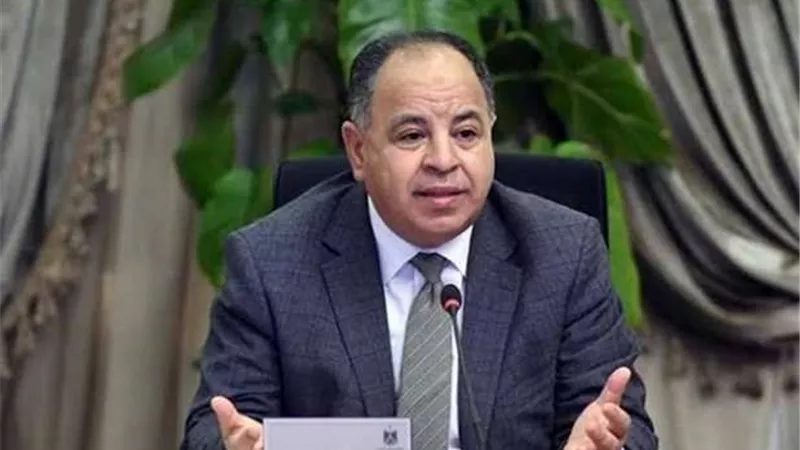 وزير المالية: الحكومة تستهدف زيادة حجم المعروض السلعى بالأسواق لتحقيق التوازن فى الأسعار