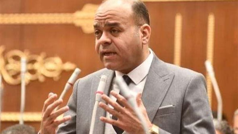 النائب عمرو القماطي