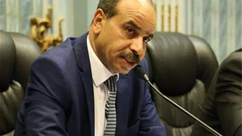برلماني: هناك تغييرًا جذريًا في نظرة المستثمرين للسوق المصرية