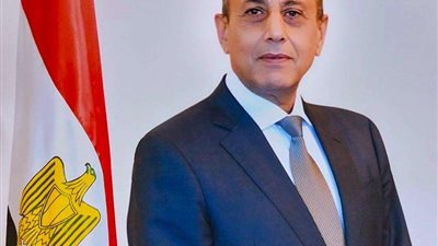 وزير الطيران: السوق المصري يستوعب شركات القطاع الخاص والعام