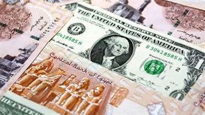 ضربة جديدة.. ضبط تشكيلات عصابية للاتجار بالدولار بـ 80 مليون جنيه مصري