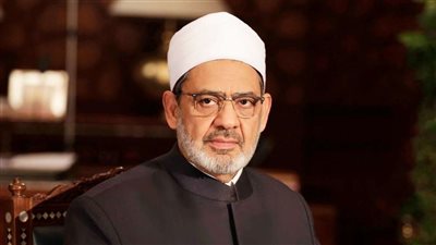شيخ الأزهر: الصهاينة لهم عقابهم الذي يليق بإجرامهم