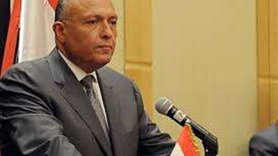 سامح شكرى