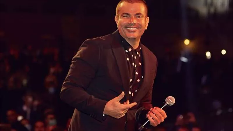 هل كان عمرو دياب ودينا الشربيني متزوجين؟