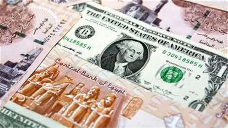 ضربة جديدة.. ضبط تشكيلات عصابية للاتجار بالدولار بـ 80 مليون جنيه مصري