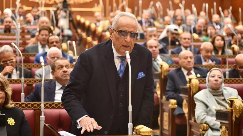 برلمانية حماة الوطن: وزارة الهجرة تولي عناية خاصة للطلاب الدارسين في الخارج