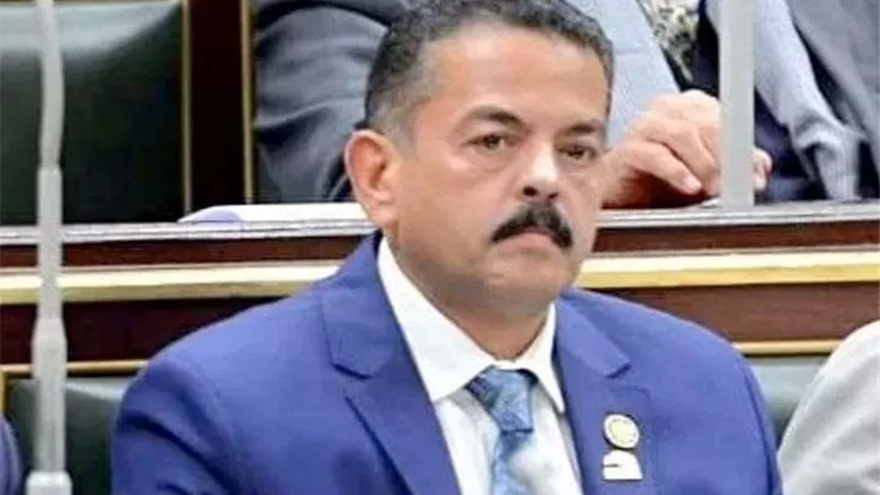 حافظ عمران: مساعدات مصر لقطاع غزة الأكثر عربيا وعالميا